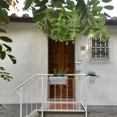 Vila Rustico Rosmarino Castiglion Fiorentino Exteriér fotografie